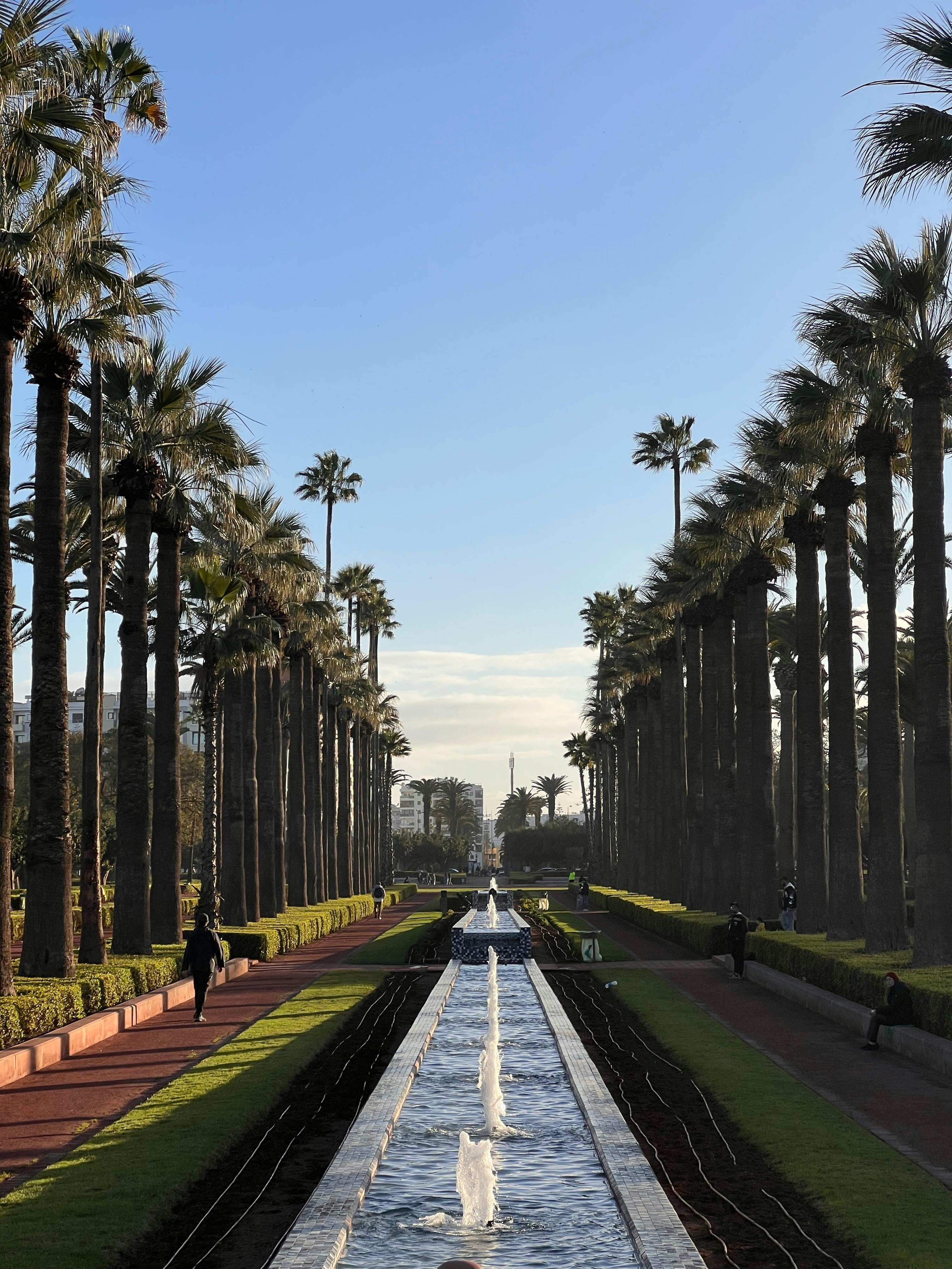 Palm-lined boulevard and fountain in a Casablanca park