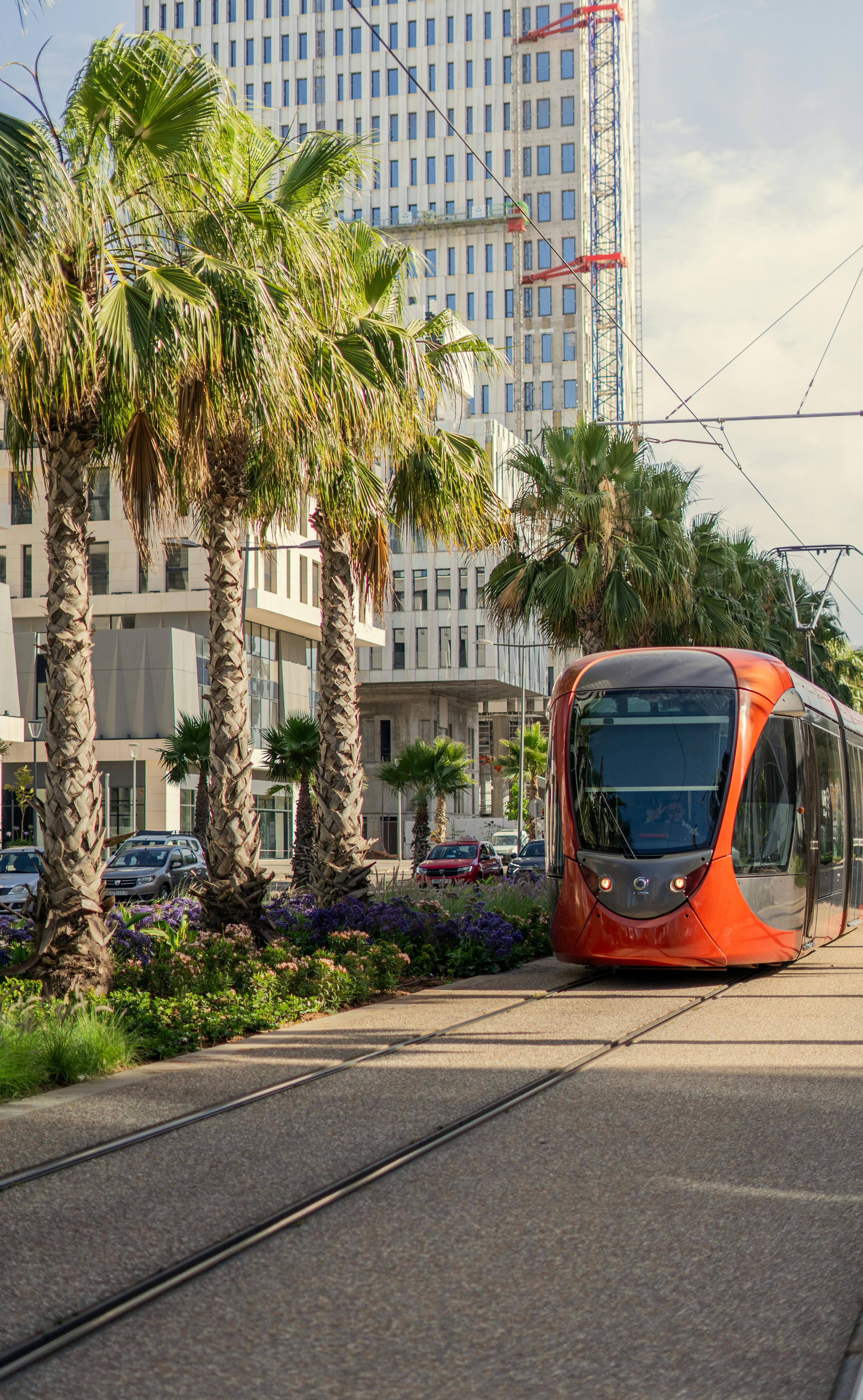Casablanca orange tram travelling along a palm-lined boulevard in the city centre, with a high-rise office tower and construction crane visible behind it.