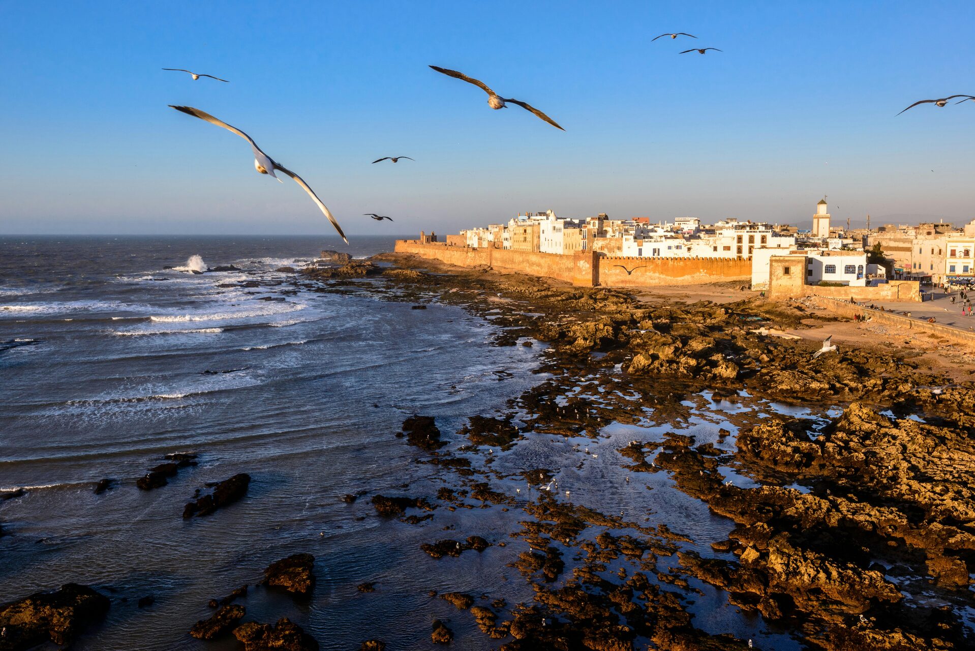 Essaouira medina and Atlantic ramparts