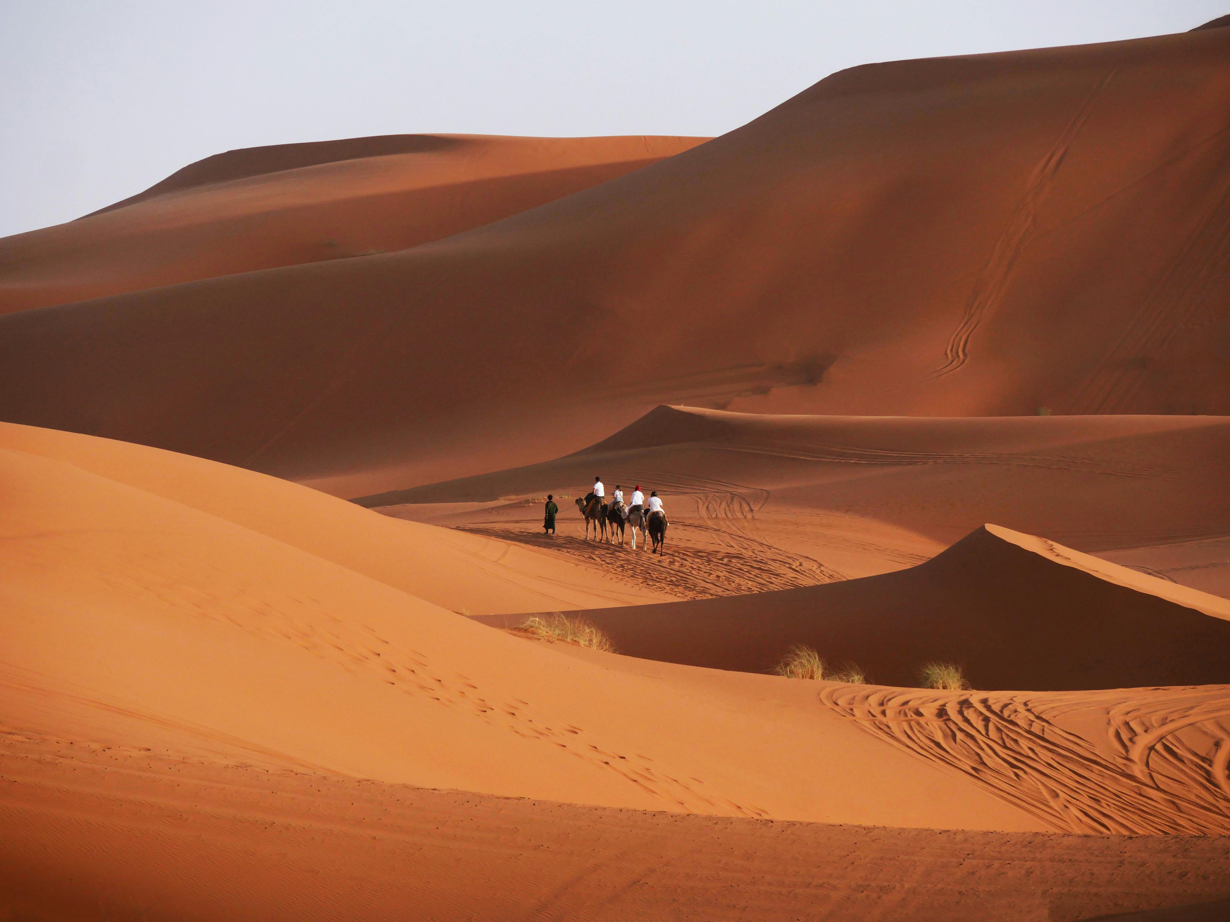 Erg Chebbi golden dunes at Merzouga, Morocco Sahara