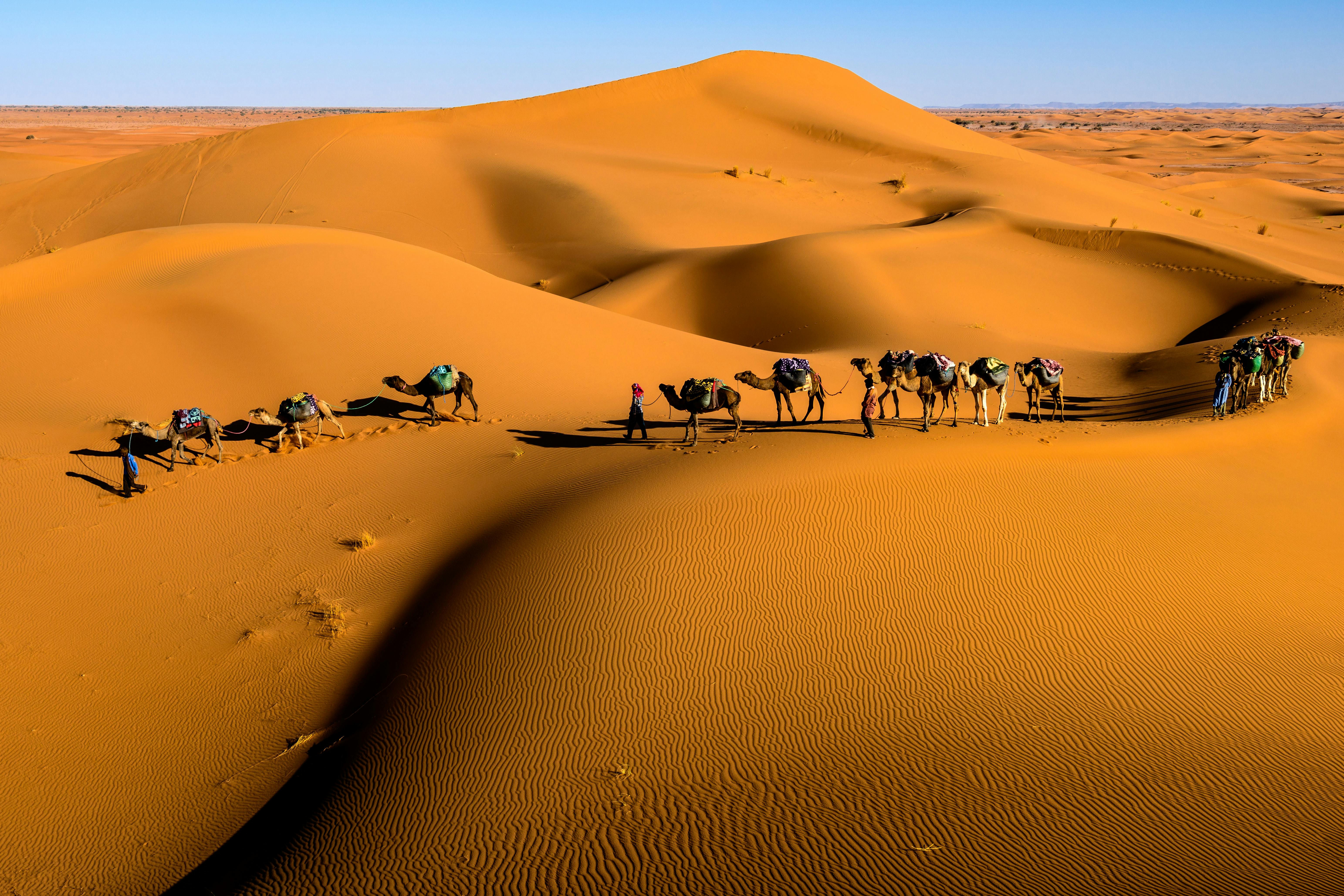 Sunrise over Sahara desert dunes, Merzouga Morocco